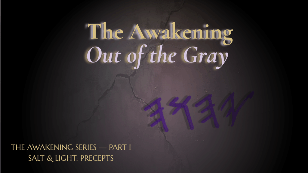 Dark cracked stone wall with soft golden light and faint Hebrew letters glowing, symbolizing awakening from spiritual blindness — The Awakening: Out of the Gray series cover.